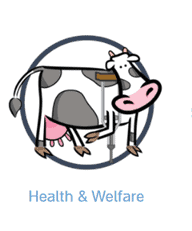 health-welfare