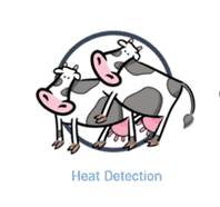 heat-detection