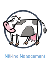 milking